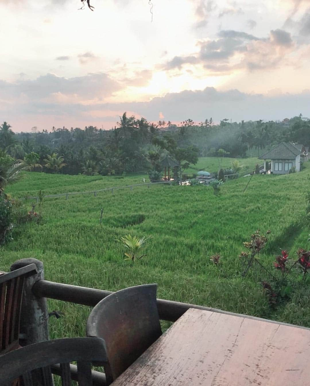 アリスさんのインスタグラム写真 - (アリスInstagram)「Paradise life🌴🥥🧡 #vacation #Bali #ubud #seminyak #bikini #eurasian #trip #beach #halfjapanese #バリ #ウブド #スミニャック #自然 #旅行 #女子旅 #五感」12月13日 18時55分 - alice_official1207