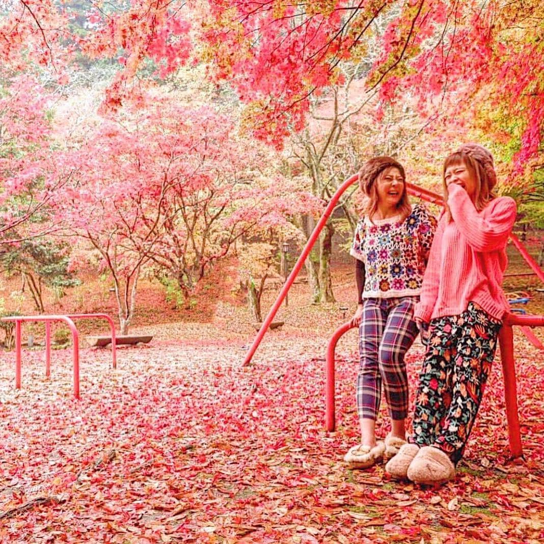 しもきたにきた。さんのインスタグラム写真 - (しもきたにきた。Instagram)「【 #尾関山公園】@広島﻿ ﻿ Thank you for：@kwamfan﻿ ﻿ ﻿ ⌒⌒⌒⌒⌒⌒⌒⌒⌒⌒⌒⌒﻿ ﻿ 落ち葉も真っ赤🍂﻿ お弁当もベンチに座って食べられます🍱﻿ ﻿ 桜の名所としても知られており🌸﻿ 春には、約500mの桜のトンネルができます。🍁﻿ ﻿ 🍽：広島県三次市三次町中所10439-3﻿ ☎︎：0824-63-9268　(一般社団法人三次市観光協会)﻿ ﻿ ⌒⌒⌒⌒⌒⌒⌒⌒⌒⌒⌒⌒﻿ ﻿ #にっぽんかわいい をつけたpostから﻿ すてきなpostをリポストさせて頂きます🇯🇵﻿ ﻿ ﻿ ⌒⌒⌒⌒⌒⌒⌒⌒⌒⌒⌒⌒﻿ ﻿ ✨ディズニーペアチケット✨が当たる﻿ リポストキャンペーン中🏰﻿ 詳しくは11月21日の投稿をCHECK🔍﻿ ﻿」12月13日 19時43分 - andbar_net