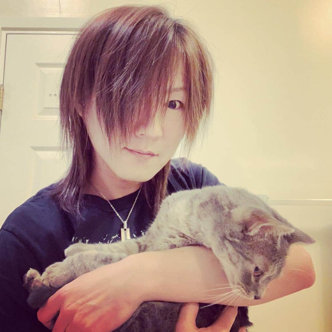 のインスタグラム：「Life with 🐱  猫のいる生活  #cat #music #life #lifewithcats #ciel #hanzoishiding #catdontlikecamera #guitarist #beautifullife #mentalsupport #partner #animal  #didyounoticemyhairgotbrighter」