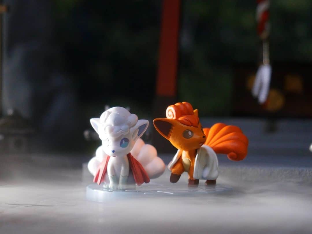 のインスタグラム：「#pokemon #pokémon #nintendo #toyphoto #toystagram #toyphotography #instatoys #nendoroid #nendoroidphotography #goodsmilecompany #pikachu #rement #kawaii #poketoys #pokemontoys #포켓몬 #테라리움 #ポケモン #ポケットモンスター #ピカチュウ #イーブイ #ロコン #Vulpix #Goupix #AlolaVulpix #AlolaVulpix #식스테일 #六尾 #百ポケ夜行」