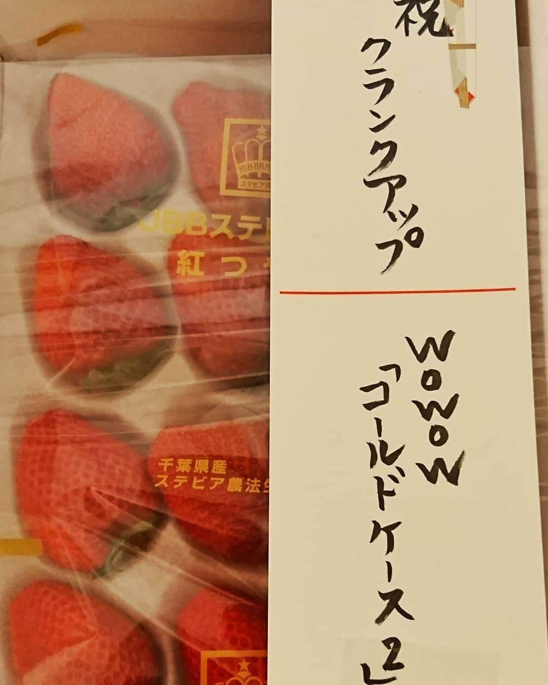 堀内敬子さんのインスタグラム写真 - (堀内敬子Instagram)「明日。12月15日(土)よる10時から WOWOWプライムにて。 コールドケース2  最終話に出演いたします。  ずいぶん前に撮影したので。 とても懐かしいです。  お時間あれば是非❤️ #WOWOWプライム #コールドケース2」12月14日 13時00分 - horiuchi_keiko