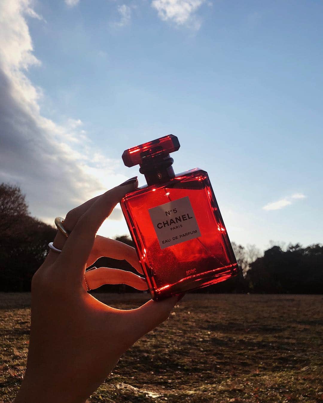 大屋夏南さんのインスタグラム写真 - (大屋夏南Instagram)「Red looks good on you.  Thank you @chanelofficial 🌹 #chanelno5」12月14日 19時01分 - __kana_oya__