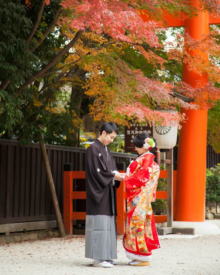 京都神社婚のインスタグラム：「年内のご成約でお得な「１０周年記念キャンペーン」は １２月まで！！ ご見学やご相談も大歓迎です^^ #Kyoto#京都#Japan#和装#着物#色打掛#京都神社婚#和婚#神前式#神社挙式#結婚式#結婚#wedding#ウェディング#ブライダル#bridal#bride#結婚準備#結婚式準備#花嫁準備#プレ花嫁#花嫁#instawedding#幸せ#weddingphotographer#撮影#スタジオゼロ」