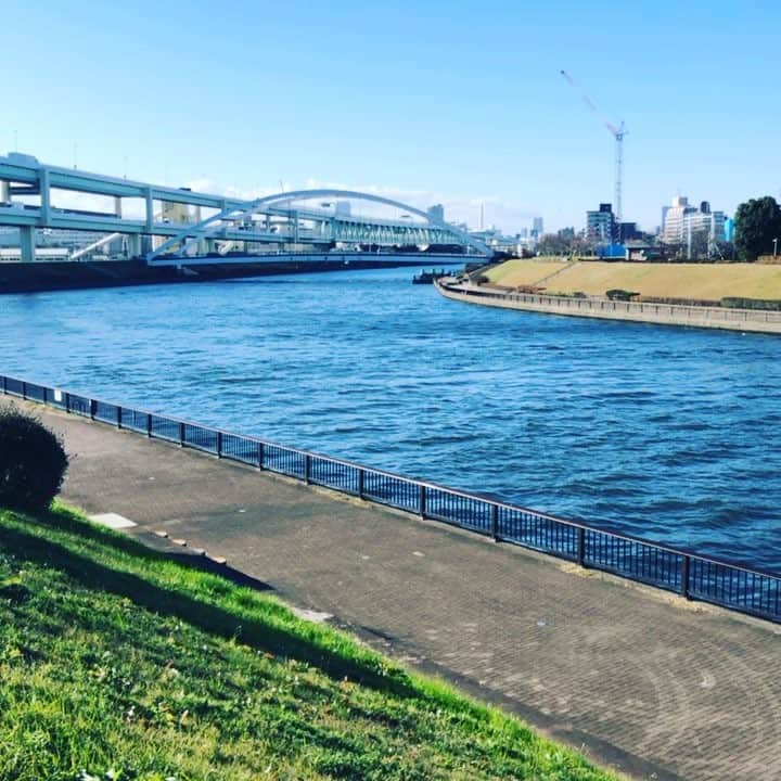 五箇公貴のインスタグラム：「隅田川1215」
