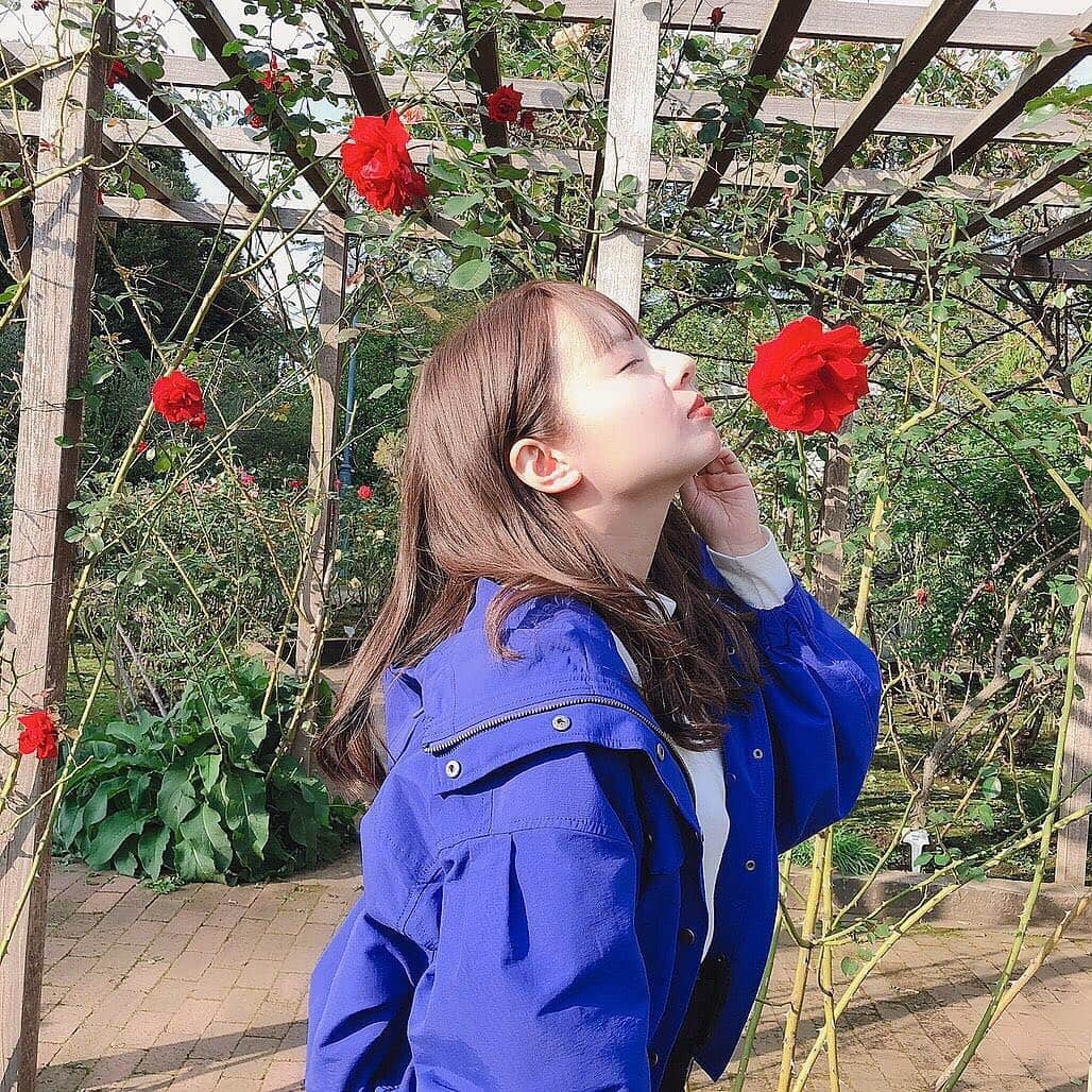 山田菜々さんのインスタグラム写真 - (山田菜々Instagram)「ドライフラワーがたくさん欲しい🌹」12月15日 11時28分 - tannana.yamada