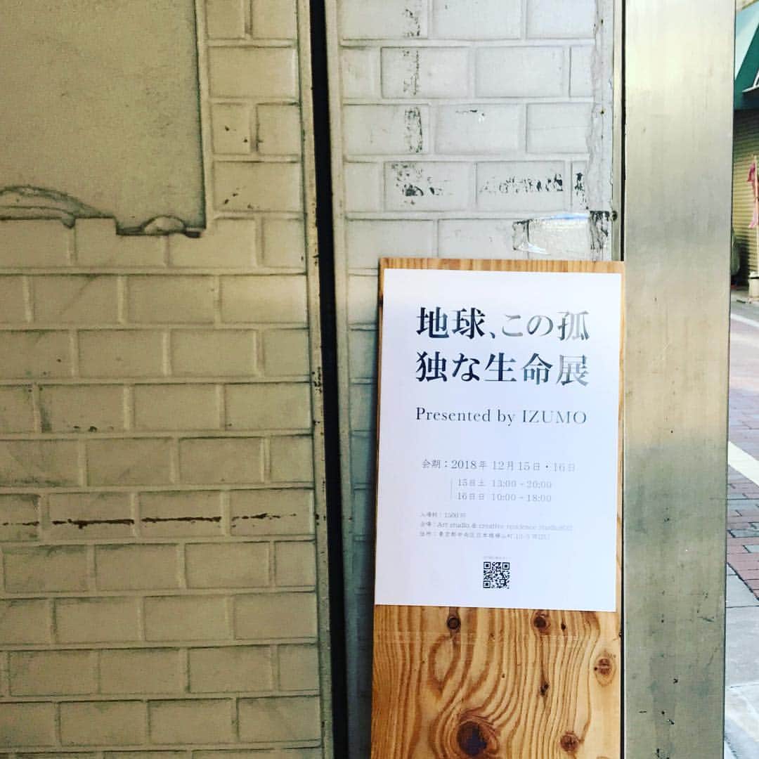 遠山正道さんのインスタグラム写真 - (遠山正道Instagram)「#地球この孤独な生命展 #izumo #kosuke #アーティストであることを決めた人 #関節と触覚 #言葉は言葉を生むからいいね #おめでとう #よかったです #松島サオリ」12月15日 15時50分 - masatoyama