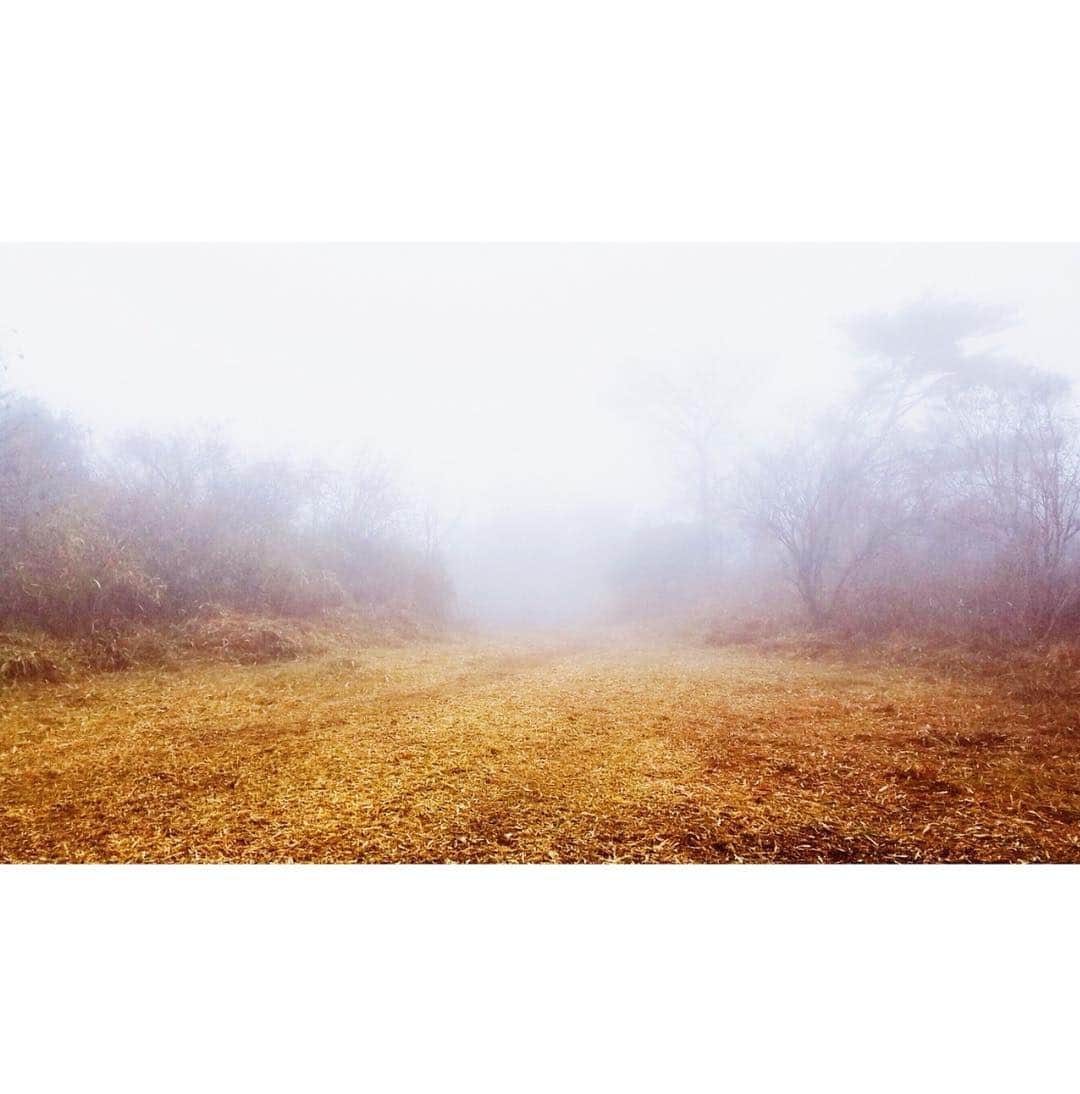 高梨臨さんのインスタグラム写真 - (高梨臨Instagram)「霧で撮影中止。せっかくなので、霧に隠れてみた。 #幻のロケ」12月15日 16時12分 - rintakanashi_official