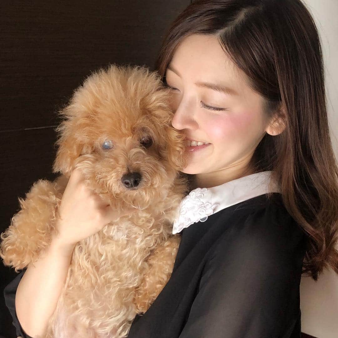 中村秀香のインスタグラム：「愛犬ミルク  オス  14歳  なんでミルクなの？とよく聞かれますが、小学校５年生の私がつけた名前なので、私にもよくわかりません。笑  犬と２ショット写真を撮るのはむずかしい。 。  #ハッシュタグ の付け方みんなに教わろう #まだインスタよく分かってない」