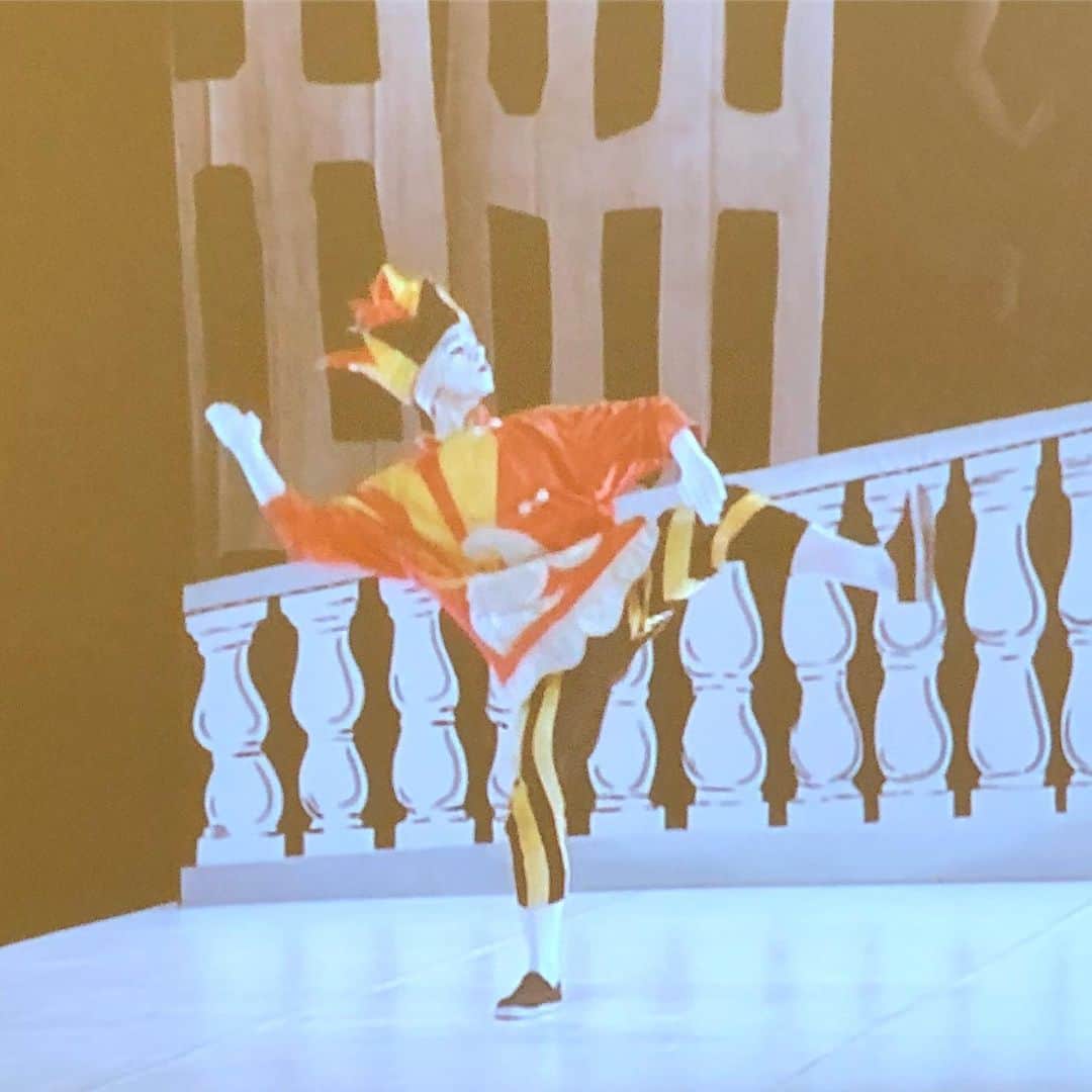 岡田育さんのインスタグラム写真 - (岡田育Instagram)「Life is Parade anyhow. / 十数年ぶりに観たけど相変わらずかわいいな。 . . @museepicassoparis #museepicassoparis #pablopicasso #picasso #paris #parisfrance #パリ散歩 #ピカソ美術館 #museumphotography #hotelsale #stayathome #picassoparade #🐴 #balletvideo」12月30日 7時18分 - okadaic