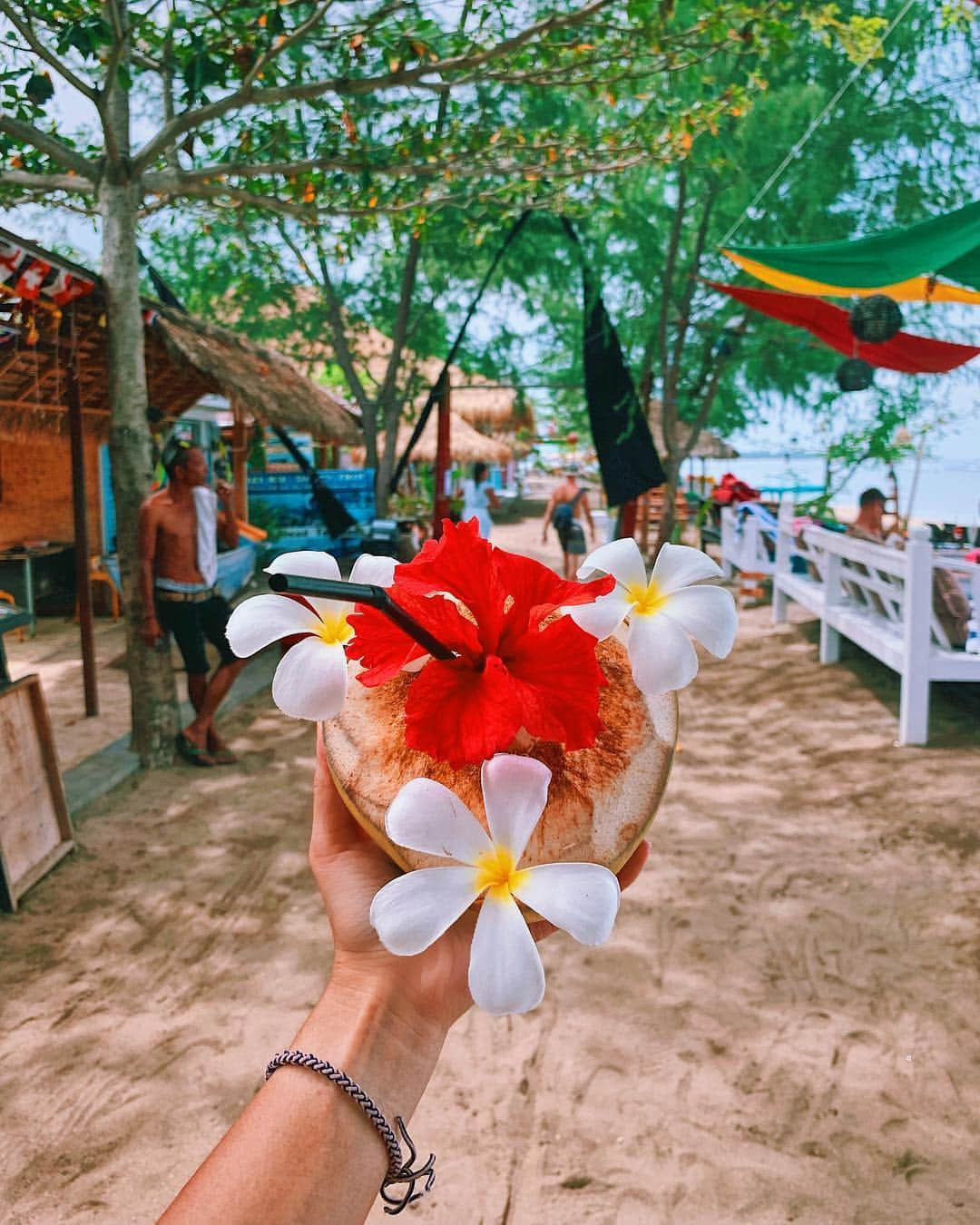 Girleatworldのインスタグラム：「Coconut at Gili Air to close out the year. I loved how they decorated a simple drink with hibiscus and frangipani flowers!  The Gili Islands are a group of 3 tiny islands – Gili Trawangan, Gili Meno and Gili Air – in Indonesia, near the coast of northwest Lombok Island.  I've been staying at Gili Trawangan for the past four days but took a half day trip to Gili Air. The islands have been really quiet even though it's peak season, because of the devastating earthquake back in August. Every local we've met here told us they have lost family members in Lombok from that earthquake.  Despite that, I think recovery is going really well. Hotels, restaurants and amenities are all open for business again. If I didn't know about it, I wouldn't have suspected the earthquake and chaotic evacuation happened only four months ago.  2018 has not been a good year for Indonesia - there had been earthquakes, fatal airplane accident, tsunami and volcano eruptions. The country is sitting on top of the ring of fire after all. Obviously, I cannot predict future disasters but I hope people will consider coming to Lombok and Gili again. We tend to view increasing tourism with negativity, but to this village, it is such a huge source of their livelihood.  If you are curious about Gilis, you can find a link to my blog post in my profile above #notsponsored . #shotoniphone #iphonexsmax #giliair #giliislands #gili #lombok #lombokisland #beach #coconut #gilitrawangan #flowers #frangipani #hibiscus #visitlombok #explorelombok #🥥 #🌴 #🌺 #girleatworld」