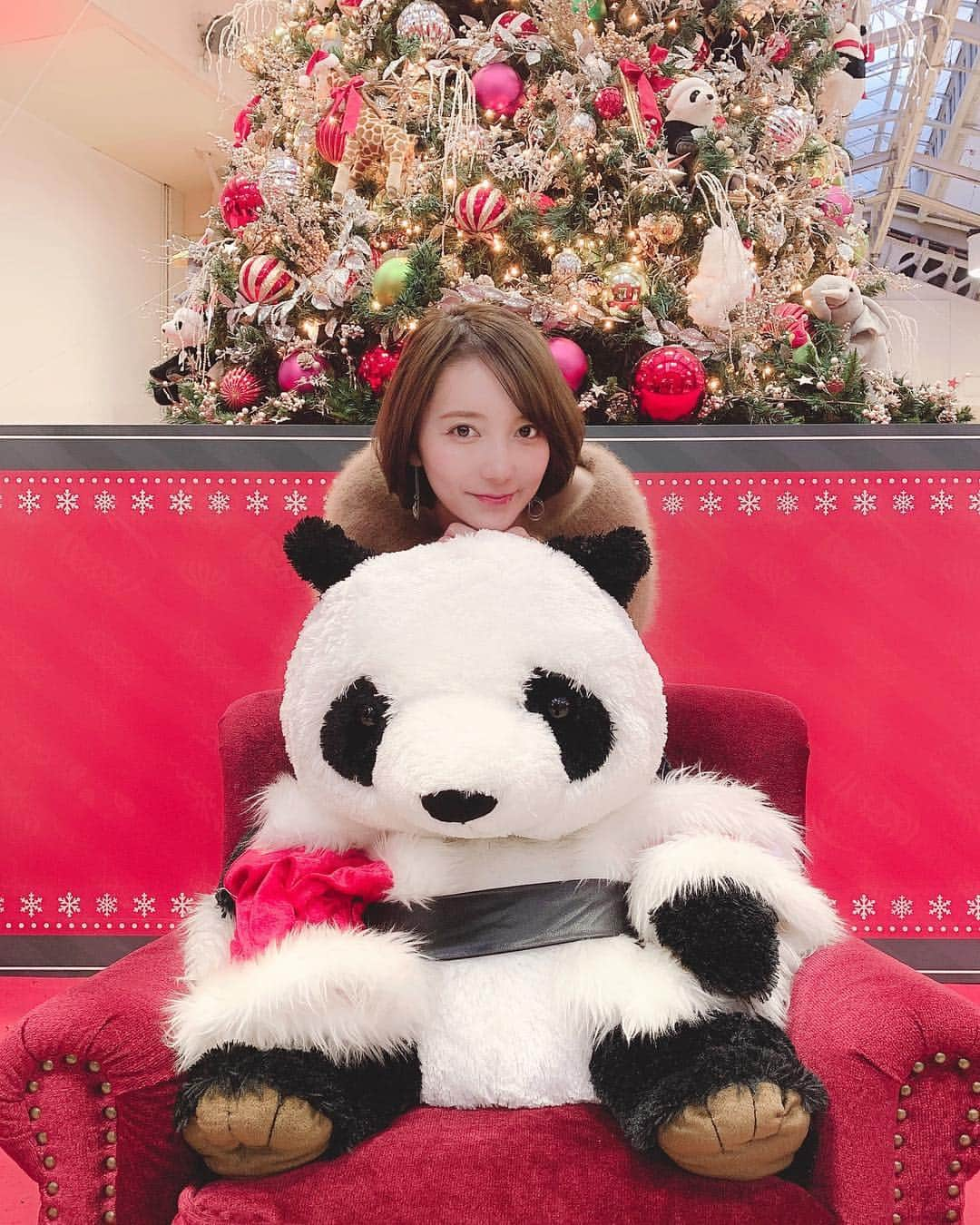 堀みづきさんのインスタグラム写真 - (堀みづきInstagram)「今年も上野のパンダツリーを見に行ったよ🐼🎄✨ パンダがいーっぱいでため息が出るほど可愛かった…🥺💘 #パンダツリー #パンダスタグラム #上野 #上野駅 #クリスマスツリー #クリスマス #パンダ #大熊猫 #シャンシャン #クリスマスクリーム #平成最後のクリスマス」12月15日 21時58分 - mizuki_027