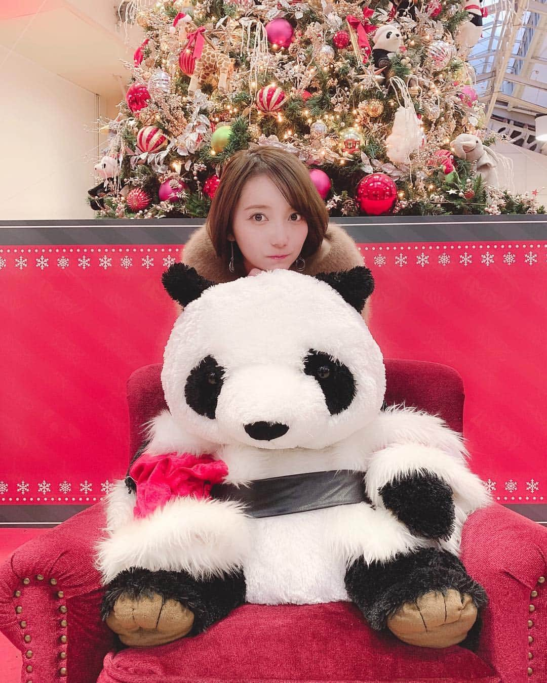 堀みづきさんのインスタグラム写真 - (堀みづきInstagram)「今年も上野のパンダツリーを見に行ったよ🐼🎄✨ パンダがいーっぱいでため息が出るほど可愛かった…🥺💘 #パンダツリー #パンダスタグラム #上野 #上野駅 #クリスマスツリー #クリスマス #パンダ #大熊猫 #シャンシャン #クリスマスクリーム #平成最後のクリスマス」12月15日 21時58分 - mizuki_027