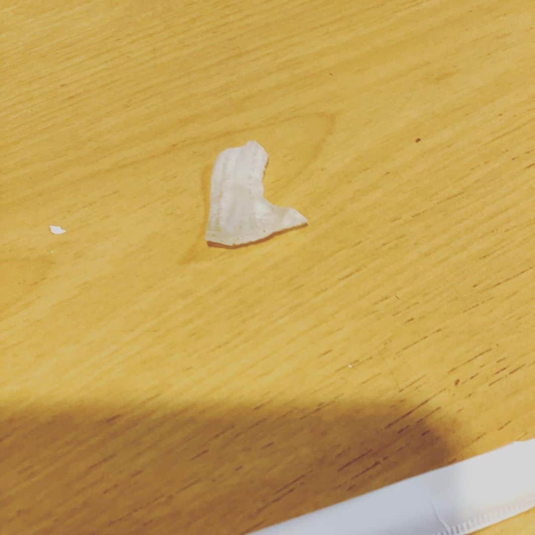 のインスタグラム：「喫茶店のテーブルの上にレタスの芯よりの部分かと思ったら、誰かがつま先の皮剥いて置いていってるよ！ #つま先 #皮 #剥き」