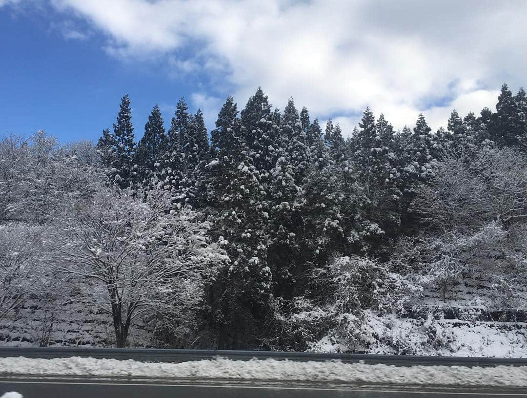 藤あや子さんのインスタグラム写真 - (藤あや子Instagram)「故郷秋田に新曲のキャンペーンとコンサートに行ってきました🎶 カワイイお菓子があったからお土産に買っちゃった😆 金農デニッシュ&パンケーキもめっちゃ美味しいよ🥞 #abs秋田放送 #ええじゃないか演歌 #ごくじょうラジオ #エビス堂ゴールド  #秋田犬のふん #金農デニッシュドーナツ  #金農パンケーキ #食彩あきた応援大使 #新曲 #秋田音頭 #akitaondo  #1月1日発売」12月16日 16時26分 - ayako_fuji_official