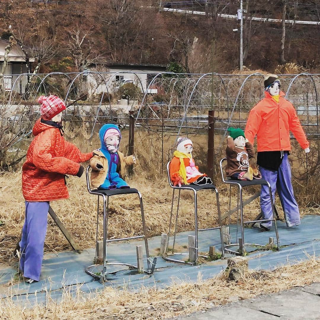 藤沢久美さんのインスタグラム写真 - (藤沢久美Instagram)「#西湖 #人かと思った #かかし #japan #scarecrow」12月16日 17時02分 - kumifujisawa