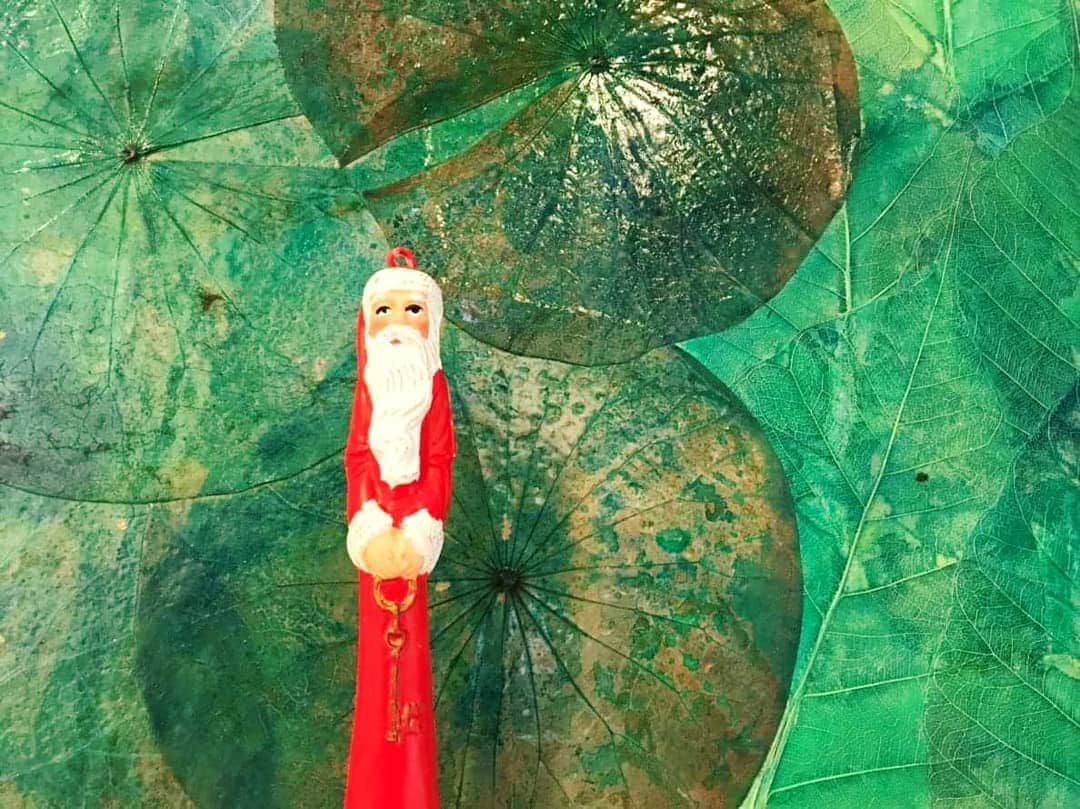 botanypaintingさんのインスタグラム写真 - (botanypaintingInstagram)「12月も半ば。  街はすっかり クリスマスムードに 包まれていますね。  グリーンのロータスリーフに サンタさんの赤い服が よく似合います。  ー ☆彡 Botany Painting Merry Christmas 2018  ーーーーーーー  LIFE is ART Botany Painting  #ボタニーペインティング #蓮 #ハス #インド菩提樹 #ロータス #ロータスリーフ #菩提樹 #アート #通信講座 #ボタニーペインティング通信講座 #ワークショップ #アート #趣味 #インテリア #蓮の葉 #ボタニカル #アントレサンフラッペ #ロータスリーフペイント #メリークリスマス #クリスマス #サンタクロース #botanypainting #lotus #linden #botanical #lifeisart #merrychristmas #happychristmas #xmas #santaclaus」12月16日 17時09分 - botanypainting