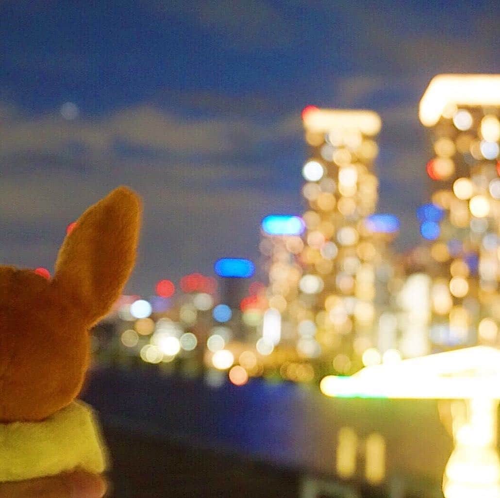 【公式】プロジェクトイーブイのインスタグラム：「⠀ 📍Toyosu, Tokyo / 豊洲（東京）⠀ ⠀ クリスマスまであと少し🌲⠀ イーブイはサンタさんになにをお願いするのかな❓❓🎅⠀ ⠀ Eevee enjoys the night lights in Tokyo✨⠀ ⠀ ⠀ #traveleevee#トラベルイーブイ#ポケモン⠀⠀⠀ #projecteevee#プロジェクトイーブイ#イーブイ⠀⠀⠀ #pokemon#eevee#eievui#travel#toyosu#tokyo⠀ #tokyonightview#東京#東京観光#観光#夜景⠀ #夜景が綺麗#夜景ら部#東京の夜景#東京の夜⠀」