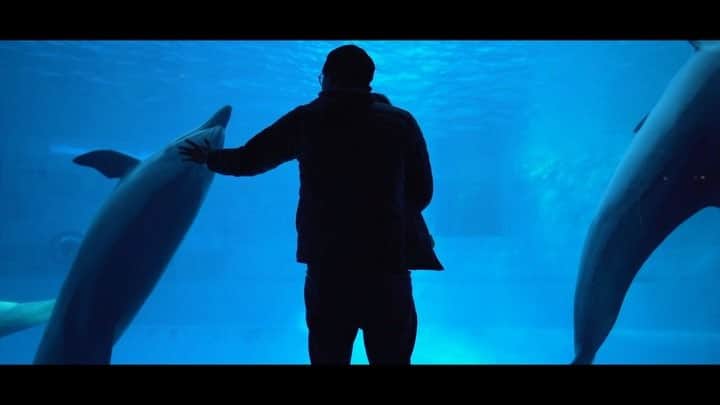 のりごとーのインスタグラム：「名古屋港水族館に家族で行ってきた様子をショートムービーにしてみました♪ #名古屋港水族館 #動画 #動画編集 #youtube #sonya7ⅲ #a7ⅲ #n5_preset #のりごとー」