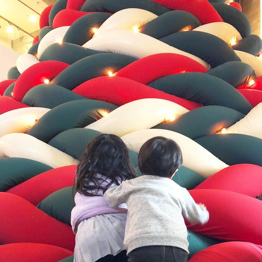 筧沙奈恵さんのインスタグラム写真 - (筧沙奈恵Instagram)「家族で六本木ヒルズへ😊 ・ モコモコのクリスマスツリーにほっこり✨子どもたちは登りたそうでしたが、登ってはいけないということで我慢👦👧 ・ 大好きなけやき坂のイルミネーションも見に行きました😌 ・ 寒かったけれど、子どもたちは満面の笑み❤️TSUTAYAでそれぞれ好きな絵本を買って帰りました📚 ・ #六本木ヒルズ #けやき坂 #けやき坂イルミネーション #roppongi #roppongihills #イルミネーション #イルミネーション2018 #クリスマスツリー #クリスマス #子連れお出かけ #家族写真 #2児ママ #2人育児」12月17日 19時00分 - sanaekakei