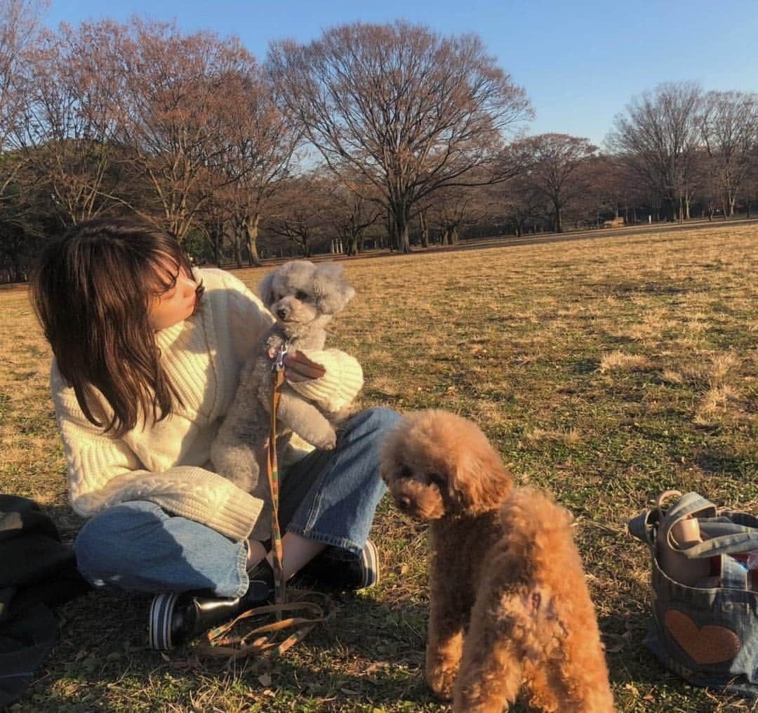 高野祐衣さんのインスタグラム写真 - (高野祐衣Instagram)「あかねと一緒に、 わんことほっこりデートday🐶♡ in  代々木公園⛲️ .  わんちゃん育てられるくらい、 一人前になりたさ、、 はぁ、癒されました☺︎」12月17日 22時12分 - yuipooon12_06