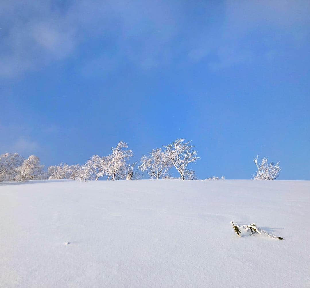 高木琢也さんのインスタグラム写真 - (高木琢也Instagram)「かわいくね😍💙 #青空 #ニセコ #snowboard #powdersnow #絶景」12月18日 13時17分 - takagi_ocean