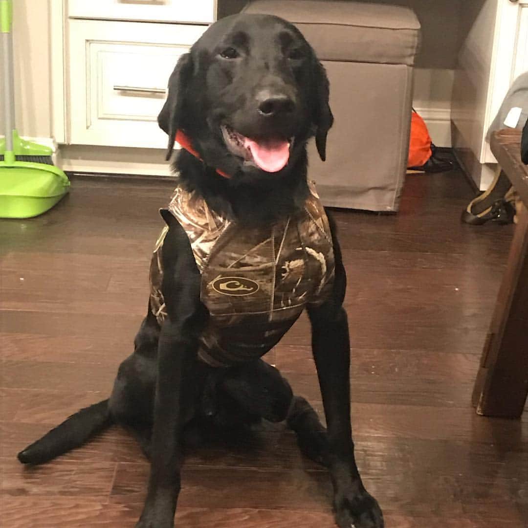 クリント・デンプシーのインスタグラム：「Happy Late 2nd b-day lil buddy. Thanks again Uncle Charles with Texas Flyway Retrievers for having Deuce ready to go. ✌️」