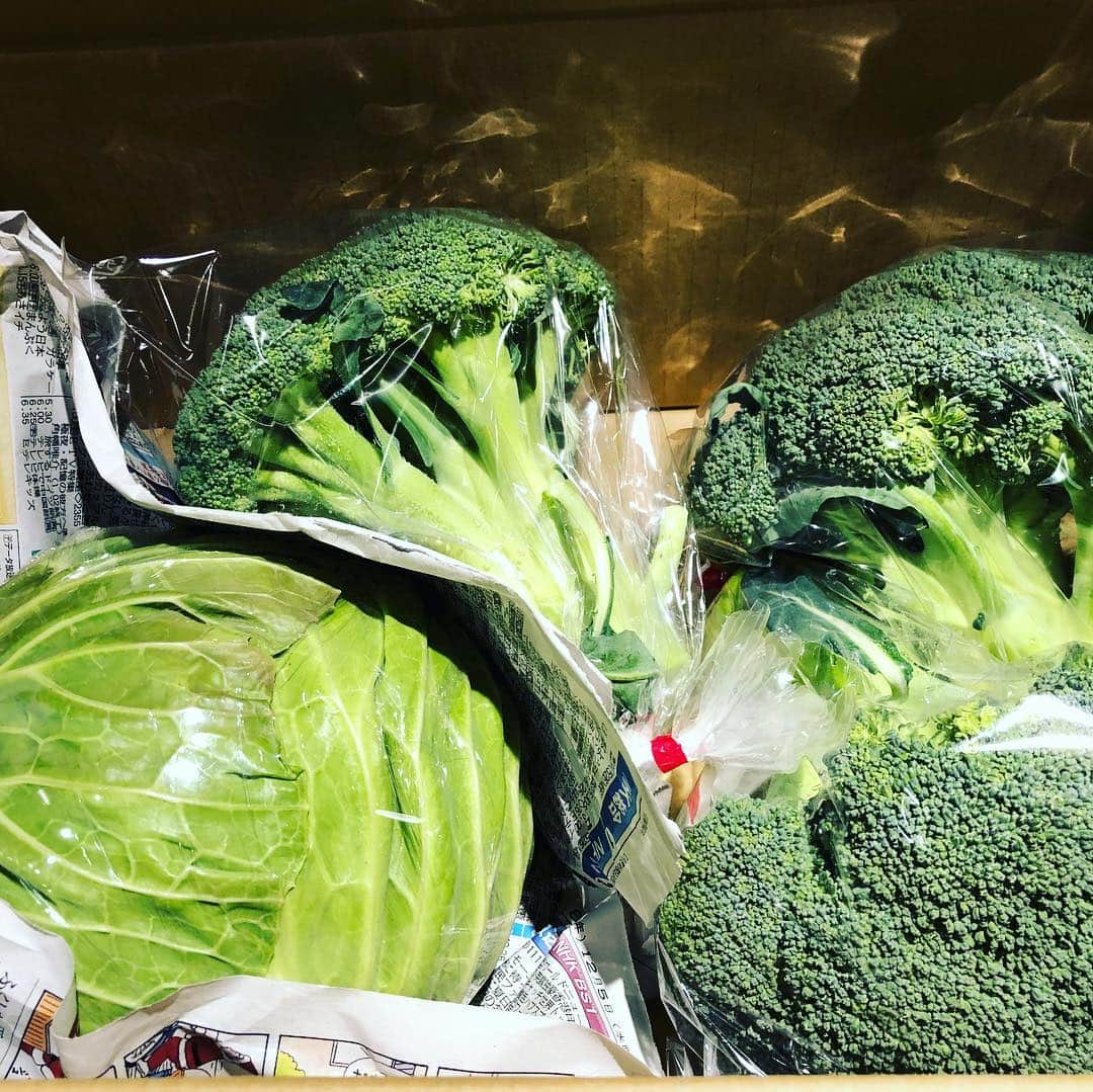 早見優さんのインスタグラム写真 - (早見優Instagram)「ファーム白石さんのキャベツとブロッコリー🥦 #ファーム白石  #ブロッコリー #broccoli」12月18日 18時58分 - yuyuhayami