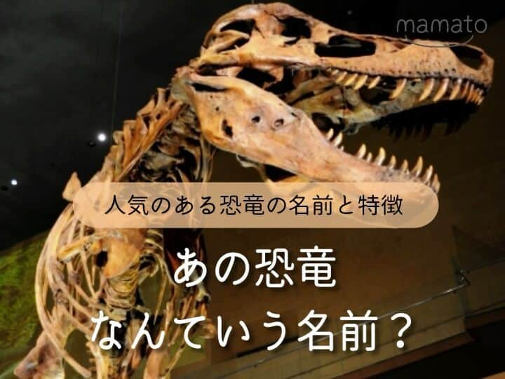 mamato ～ママと一緒にもっと楽しい育児を！～のインスタグラム：「大昔に地球に暮らしていた巨大な恐竜は、子どもから大人まで夢中にさせる不思議な魅力がありますね。映画や絵本、漫画、フィギュアなど様々なものに展開されていて、それらをきっかけに恐竜好きになるお子様も多いのではないでしょうか。今回はよく聞く恐竜の名前とそれぞれの特徴をご紹介します。お子様と恐竜の話で盛り上がるのも楽しそうですね。  #恐竜 #名前 #ブラキオサウルス #パキケファロサウルス #ステゴサウルス #ティラノサウルス #トリケラトプス #巨大 #発掘 #特徴 #育児 #子育て #新米ママ #育児ライフ #育児奮闘中 #育児あるある #mamato #ママト #bellemaison #ベルメゾン」