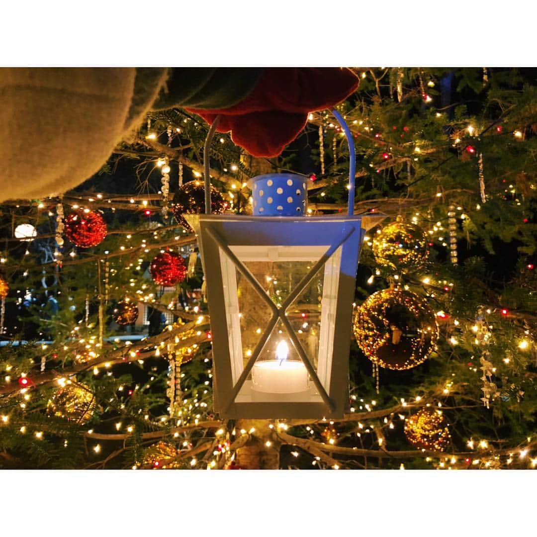 的場絢香さんのインスタグラム写真 - (的場絢香Instagram)「🎄﻿ ﻿ キラッキラな﻿ 軽井沢のクリスマス❤︎﻿ ﻿ 大きなツリーが輝く﻿ 軽井沢高原教会の﻿ キャンドルナイト。﻿ ﻿ 暗闇に浮かぶランタンの灯りが﻿ 幻想的でロマンチック🕯💫﻿ ランタンのツリーも！﻿ 寒さも忘れてうっとりしちゃう。﻿ ﻿ 12月25日まで毎日開催しています。﻿ ﻿ 軽井沢で特別なクリスマスを…❤️❄︎﻿ ﻿ ﻿________________________________ #軽井沢 #軽井沢高原教会  #石川さん情報liveリフレッシュ  #石川テレビ #旅したがーる」12月18日 20時52分 - ayaka_matoba