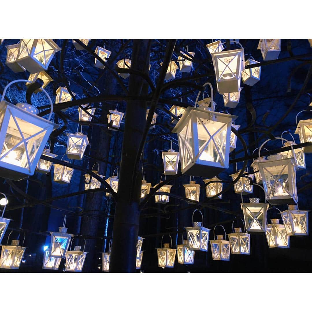 的場絢香さんのインスタグラム写真 - (的場絢香Instagram)「🎄﻿ ﻿ キラッキラな﻿ 軽井沢のクリスマス❤︎﻿ ﻿ 大きなツリーが輝く﻿ 軽井沢高原教会の﻿ キャンドルナイト。﻿ ﻿ 暗闇に浮かぶランタンの灯りが﻿ 幻想的でロマンチック🕯💫﻿ ランタンのツリーも！﻿ 寒さも忘れてうっとりしちゃう。﻿ ﻿ 12月25日まで毎日開催しています。﻿ ﻿ 軽井沢で特別なクリスマスを…❤️❄︎﻿ ﻿ ﻿________________________________ #軽井沢 #軽井沢高原教会  #石川さん情報liveリフレッシュ  #石川テレビ #旅したがーる」12月18日 20時52分 - ayaka_matoba