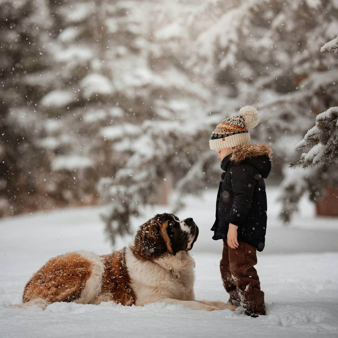 Sigma Corp Of America（シグマ）さんのインスタグラム写真 - (Sigma Corp Of America（シグマ）Instagram)「SIGMA 105mm F1.4 DG HSM Art and 135mm F1.8 DG HSM Art. Always make time to enjoy a fresh snow fall ❄️ 📷 Photos by @meg_nlo . . . .  #sigmaphoto #sigma105mmart #sigma135mmart #portraitphotography #winter #snow #children」12月19日 0時03分 - sigmaphoto