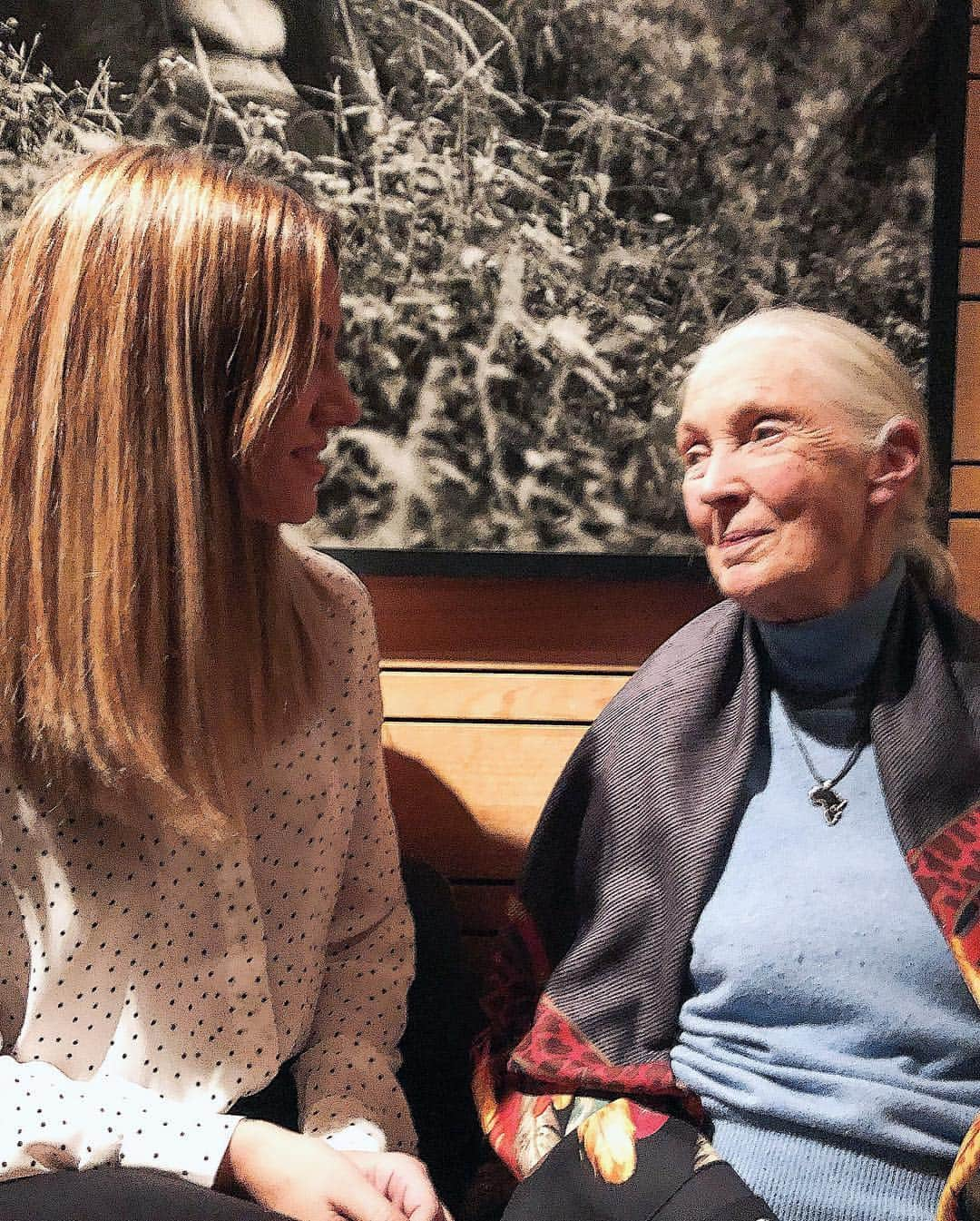 エドゥルネさんのインスタグラム写真 - (エドゥルネInstagram)「“Tenemos la opción de usar el don de nuestra vida para hacer de este mundo un lugar mejor” #JaneGoodall Qué afortunada he sido de poder conocer de cerca a una mujer tan maravillosa!!👱🏻‍♀️🐒💖 Os ánimo a que visitéis www.janegoodall.es para que podáis conocer todo el trabajo que hacen y para los que quieran colaborar saber cómo hacerlo!!✨💚✨ @janegoodallespana @janegoodallinst」12月19日 2時38分 - edurnity