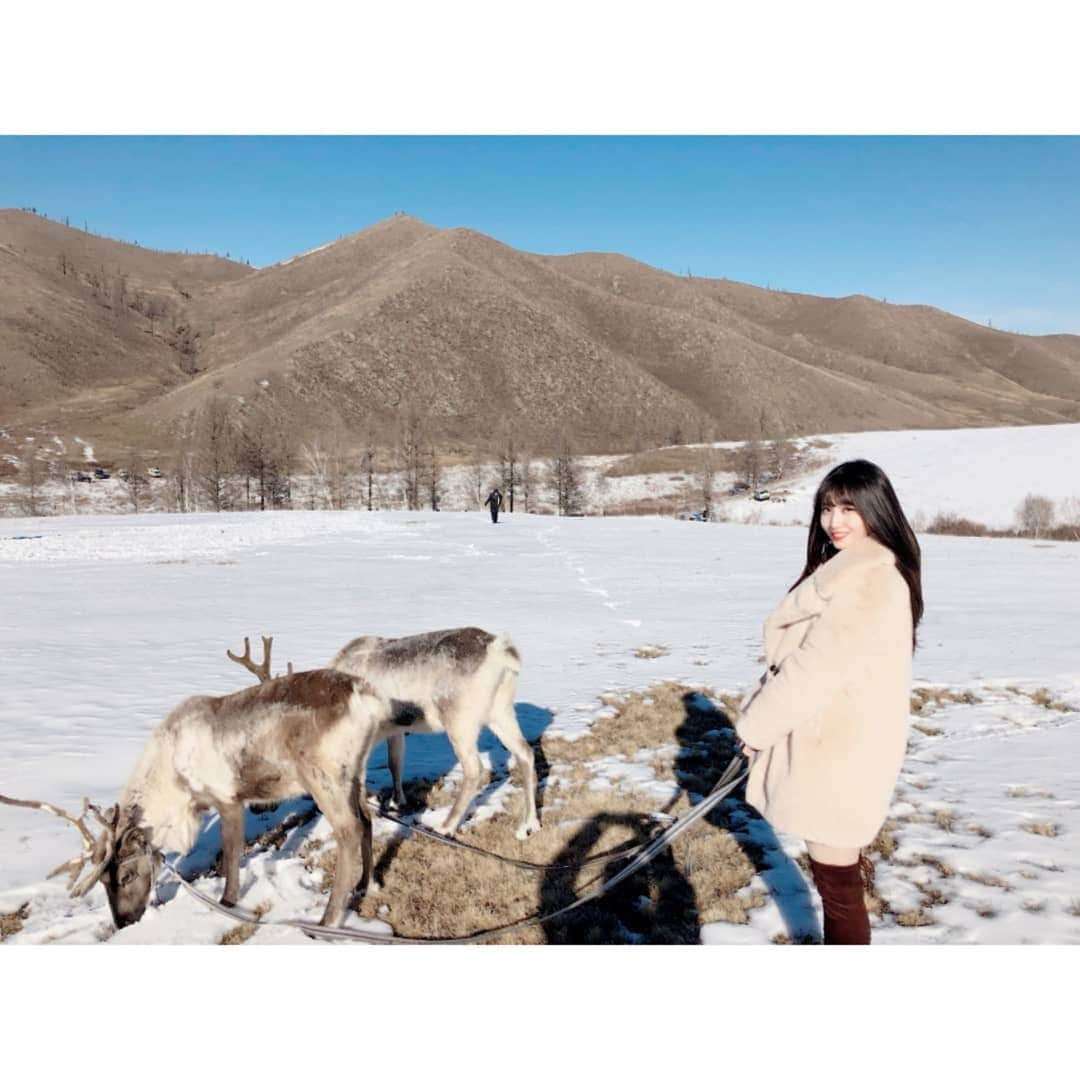 TWICEさんのインスタグラム写真 - (TWICEInstagram)「Mongolia2💙🤙🐷🥑🍷」12月19日 16時22分 - twicetagram