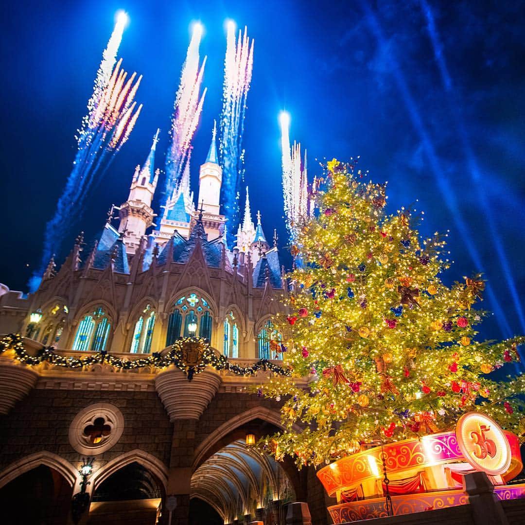 東京ディズニーリゾートさんのインスタグラム写真 - (東京ディズニーリゾートInstagram)「Sparkling Christmas tree. 35周年はクリスマスツリーも特別🎄✨ #disneychristmas #cinderellacastle #fantasyland #tokyodisneyland #tokyodisneyresort #christmastree #35thanniversary #fireworks #ディズニークリスマス #クリスマスツリー #シンデレラ城 #シンデレラ城裏 #ファンタジーランド #東京ディズニーランド #東京ディズニーリゾート #東京ディズニーリゾート35周年 #ライトアップ #イルミネーション #夜景 #花火」12月19日 17時06分 - tokyodisneyresort_official