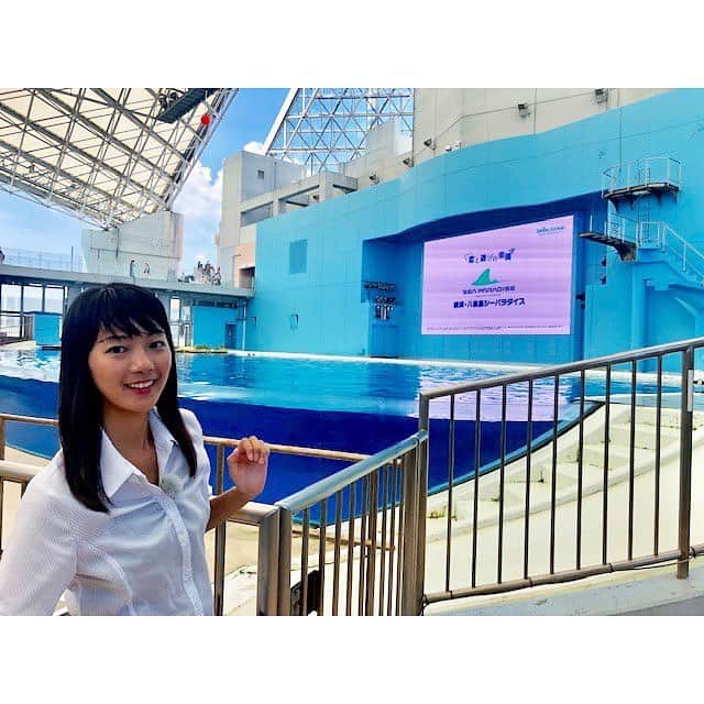 テレビ朝日アナウンサー公式さんのインスタグラム写真 - (テレビ朝日アナウンサー公式Instagram)「. ｢私に戻る時間｣いつかな～と考えてみましたが、無いことに気づきました！ 本当は仕事中はスイッチを入れたいのですが、仕事もプライベートでも そんなに変わらないのかなと思っています！ ただ、スポーツ観戦や旅行中は特に楽しい時間を過ごしていますね☆ 旅行先はアメリカが多いです♪ （紀） #アナカレ2019 #アナウンサー #テレビ朝日 #テレビ朝日アナウンサー #紀真耶 #7000フォロワー達成 #ありがとうございます」12月19日 8時40分 - tvasahi_announcers