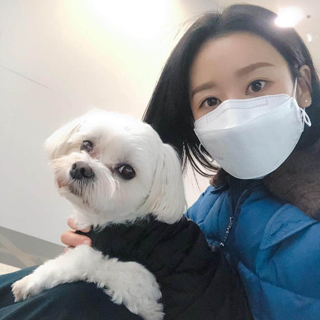 グンミ さんのインスタグラム写真 - (グンミ Instagram)「🐶🐱 #캐딜락 에서 진행하는 #유기견구호캠페인 인 #DogsSaveDogs 챌린지에 동참 합니다 . . 이렇게 사랑스런 복태도 유기견이 였어요 버려진 상처 때문에 분리불안도 심하고 발바닥 털 한번 밀어 주려고 하면 온갖 겁은 다 먹고 으르렁 되기 일수 였는데 시간이 약인걸까요? 지금은 얌전하게 손,발도 잘주고 세상 편하게 잠도 잘자는 아주 건강하고 튼튼한 복태 랍니다🤣😊 유기견도 사랑 받으며 충분히 예쁜 아이 라는걸 #유기견입양 을 통해 느끼게 되었어요 앞으로 우리의 적극적인 관심이 필요해요 🙏🏻 . . 해나언니 @haena_kim_지목을 받아#도그세이브도그챌린지 에 참여하게 되었고 이렇게 좋은 캠페인에 동참 할수 있어 뿌듯합니다 ^^ . . 그럼 챌린지 이어갈 다음 분들 지목 할게요 . . 💛지현언니 @moomyung0260 💛세랑이 @serang_ 💛영균이 @yeong_kyun . . 케딜락의 Dogs save Dogs 첼린지는 당신의 소중한 반려견 혹은 반려묘와 손을잡고 찍은 사진/영상 또는 도산대로에 위치한 케딜락하우스 서울2층 Dogs save Dogs 존 방문 인증사진/영상을  #DogsSaveDogs #도그세이브도그 해시테그와 함께 업로드하여 주시면 포스팅 10개당 1kg의 사료를 #캐딜락 에서 동물원단체 #케어 에 기부하는 캠페인 입니다 . . 여러분들의 캠페인 참여 한번이 길위의 많은 아이들에게 아주 큰 도움이 됩니다. 지금 여러분의 따뜻한 마음을 보여주세요🙆🏻‍♀️ . 도그세이브도그 챌린지 참여방법입니다  1) 100시간 내에 인증  2) 챌린지를 이어나갈 3명지목  3) #dogssavedogs #도그세이브도그 #캐딜락 해시테그를 달아 포스팅을 해주시면 됩니다.」12月19日 18時44分 - g.mi