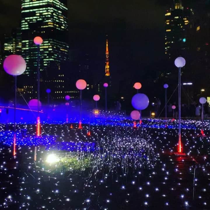 MEGのインスタグラム：「東京も夕方暗くなるのが早い。#tokyotower」