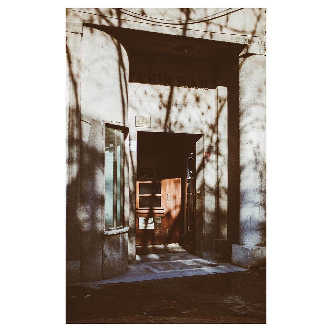 Cemal Can Dinçのインスタグラム：「waiting patiently」
