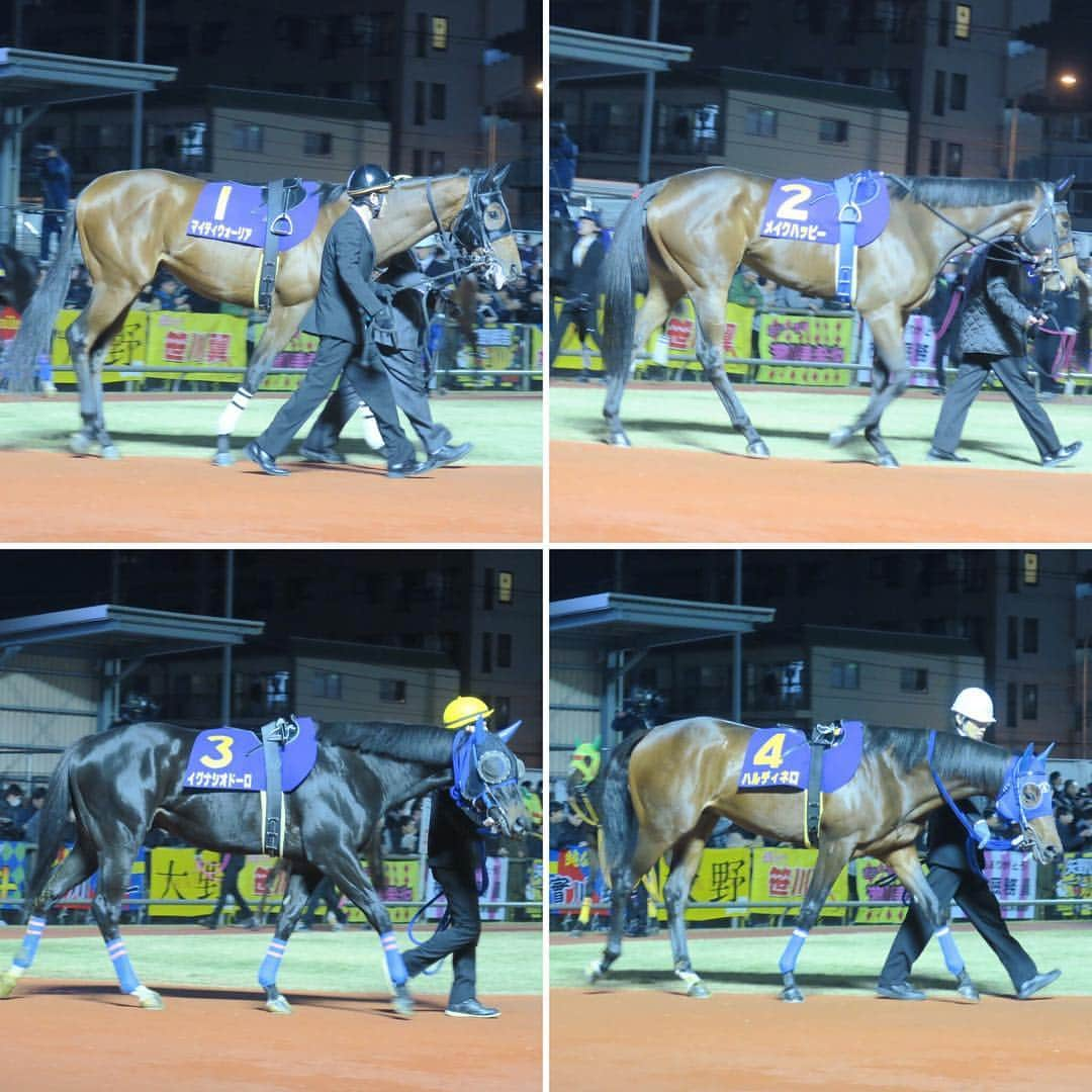 津田麻莉奈さんのインスタグラム写真 - (津田麻莉奈Instagram)「第69回全日本2歳優駿🏇💨✨ 勝ったのは、唯一の関西馬ノーヴァレンダでした。 北村友一騎手はレース後、 「入れ込んでいた割にいいスタートを切って楽にいいポジションにつけられた。」とおっしゃっていました。 ⁑ また斉藤崇史調教師は、 「開業してはじめての重賞ですし、良かったです。」 と笑顔でお話されていました。 とても和やかで、皆さんの喜びがこちらにも伝わる素敵なインタビューでした。 関係者の皆さま、おめでとうございます😊🎉 ⁑ 写真2枚目・3枚目👈 勝ったノーヴァレンダと、外から猛然と追い込み大接戦を演じたデルマルーヴル。 ⁑ 掲示板に着順が表示され、場内から歓声が沸いた瞬間。この2頭も同時に掲示板の方を見た… ような気がしました🐴🐴 ⁑ #全日本2歳優駿 #川崎競馬 #川崎競馬場 #川崎 #競馬場 #競馬 #地方競馬 #楽天競馬 #楽天競馬ポッイントもらっちゃおう娘  #kawasaki #kawasakiracecourse  #rakutenkeiba #keiba #umajo #talent #tokyo #japan #japanesegirl #まりなる #津田麻莉奈」12月20日 13時55分 - tsudamarinal