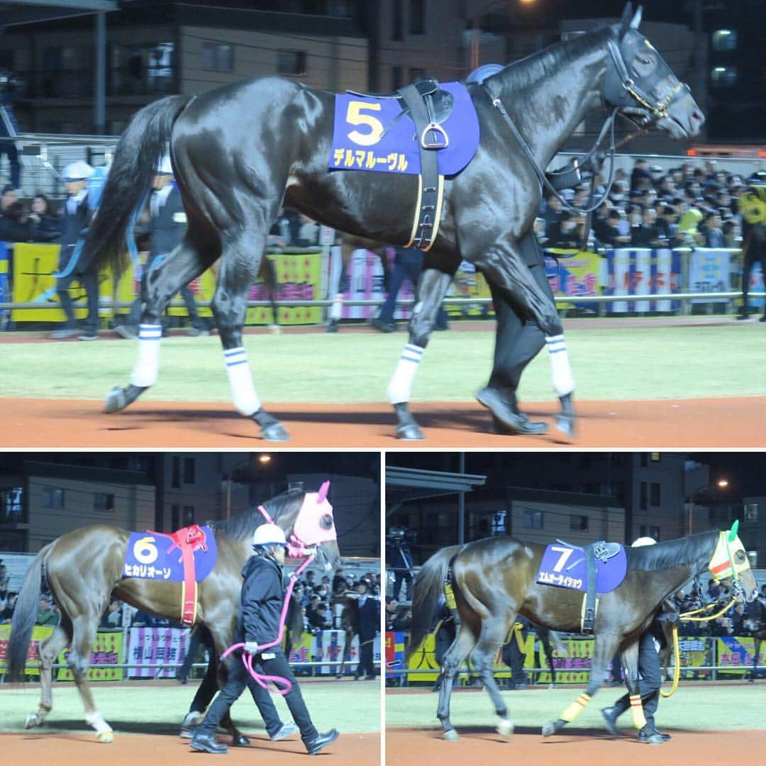 津田麻莉奈さんのインスタグラム写真 - (津田麻莉奈Instagram)「第69回全日本2歳優駿🏇💨✨ 勝ったのは、唯一の関西馬ノーヴァレンダでした。 北村友一騎手はレース後、 「入れ込んでいた割にいいスタートを切って楽にいいポジションにつけられた。」とおっしゃっていました。 ⁑ また斉藤崇史調教師は、 「開業してはじめての重賞ですし、良かったです。」 と笑顔でお話されていました。 とても和やかで、皆さんの喜びがこちらにも伝わる素敵なインタビューでした。 関係者の皆さま、おめでとうございます😊🎉 ⁑ 写真2枚目・3枚目👈 勝ったノーヴァレンダと、外から猛然と追い込み大接戦を演じたデルマルーヴル。 ⁑ 掲示板に着順が表示され、場内から歓声が沸いた瞬間。この2頭も同時に掲示板の方を見た… ような気がしました🐴🐴 ⁑ #全日本2歳優駿 #川崎競馬 #川崎競馬場 #川崎 #競馬場 #競馬 #地方競馬 #楽天競馬 #楽天競馬ポッイントもらっちゃおう娘  #kawasaki #kawasakiracecourse  #rakutenkeiba #keiba #umajo #talent #tokyo #japan #japanesegirl #まりなる #津田麻莉奈」12月20日 13時55分 - tsudamarinal