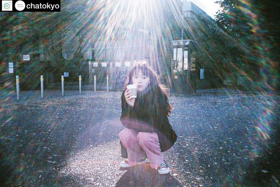 小川あんさんのインスタグラム写真 - (小川あんInstagram)「@rice.press ♡  #今日の茶ガール 002 . RiCE.press 連載 「 #茶ガール 」 002. 小川あん / 俳優 photo by 石田真澄 @8msmsm8  today's tea : #檸檬紅茶 . 光のシャワーを浴びながら✨お茶にまつわる一問一答も。記事は @rice.press のプロフィールURLからご覧ください😉 . #茶ガール #小川あん @anko0_0  #chagirl #茶娘 #茶と今日 #chatokyo @chatokyo  #teatime #tealife #girl #japan #tokyo #shibuya #gengenan @gen2an  #entea @en.tea @rice.press #photography #photooftheday」12月20日 19時00分 - anko0_0