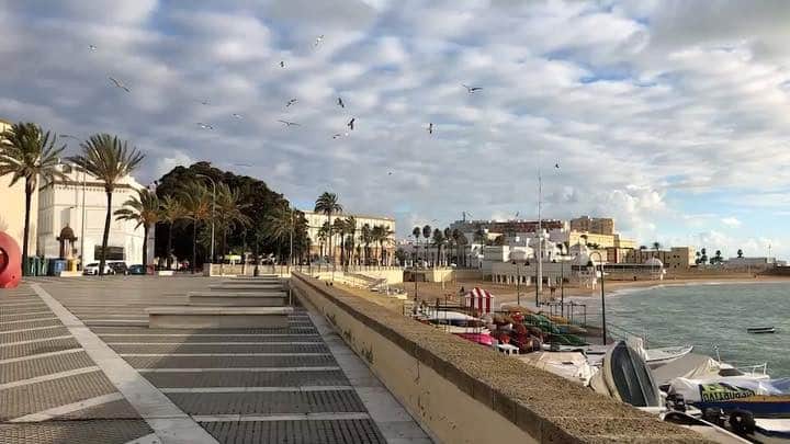 桂のインスタグラム：「Harbor  #sea #ocean #waves #seashore #coast #harbor #wharf #boat #soundofnature #sky #clouds #sun #bird #horizon #cityscape #landscape #reflection #海 #波 #海岸 #港 #埠頭 #空 #雲 #太陽 #鳥 #街角 #景 #反射」
