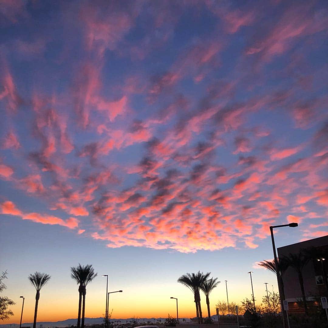 村主章枝さんのインスタグラム写真 - (村主章枝Instagram)「today's sunrise #earlybird  #lasvegas  #citynationalarena  #ラスベガス生活」12月21日 1時24分 - fumie.suguri