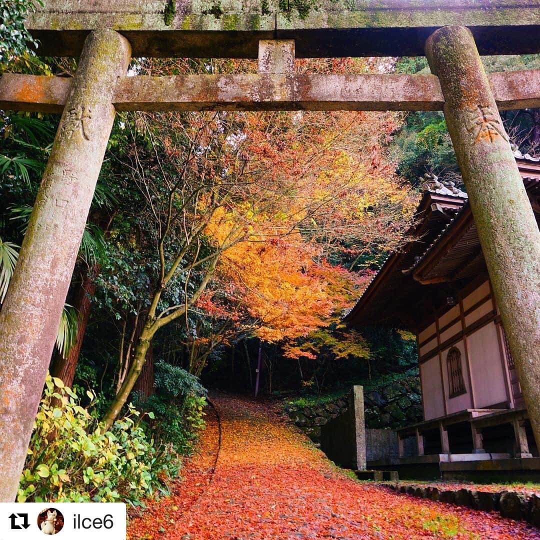 西条市のインスタグラム