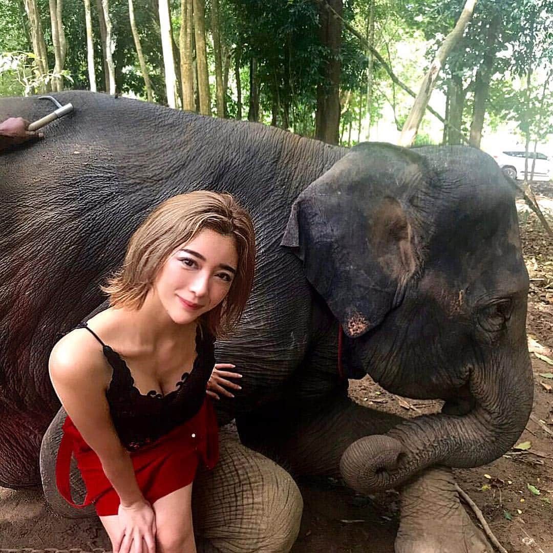 濱野りれさんのインスタグラム写真 - (濱野りれInstagram)「FIRST  TIME TO SEE REAL ELEPHANT!!🐘 ONE OF THE BEST PART OF THAILAND! TAKE TIME TO SEE HIM AROUND 3 HOURS FROM RAYAVADEE😱 . そして本当は超ビビってた🥳🐘 . . #travelphotography#elephant#elephant🐘#elephantlove#naturephotography  #krabi#visitThailand #thaitraveling#mythailand #travelcommunity#girlslovetravel#traveltoexplore#travelaroundtheworld#exploretheworld#meettheworld#passportlife #animals_in_world  #クラビ#タイ旅行#動物#像#海外ファッション」12月21日 12時07分 - riregram