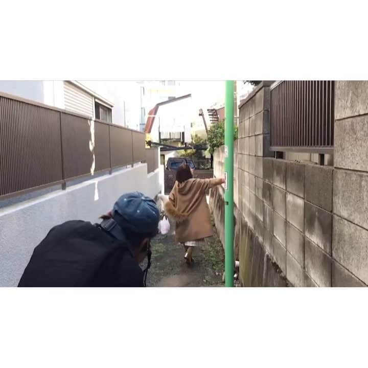 吉岡里帆（マネージャー）のインスタグラム：「🦊 どんぎつね1st写真集 「ぼくのそばにきみがいる」 メイキング動画です！！！ . WEBで絶賛公開中の写真集、ぜひ見てくださいませ！ 「どん兵衛 写真集」で検索すれば大体1番上に出ると思いますよ〜☺︎ . #どん兵衛 #どんぎつね #タイトルは側と蕎麦をかけてるんですよ #メイキング動画 #先輩マネージャーが必死に撮ってたやつ #パイセンありがとうございます😂」
