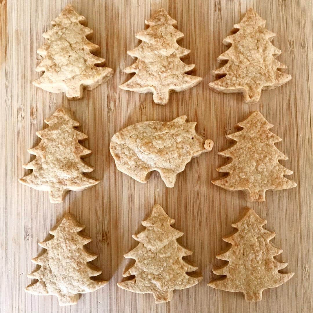 Kozue Yoshidaのインスタグラム：「#bettsbara #クリスマス #焼き菓子 #お菓子  少しづつですがbetts＆baraのクリスマス🎄はじまりました  お知らせ  先日お知らせしました工房販売ですが 12月24日(月)11時からオープンします  お間違えのないようにお越し下さい」