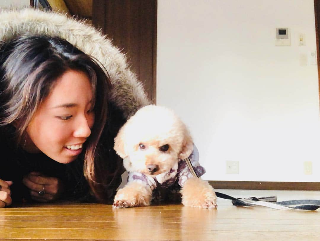 川合美乃里さんのインスタグラム写真 - (川合美乃里Instagram)「@thiara_world ✨🌆💕 うちの犬🐩」12月21日 16時53分 - minorikawai