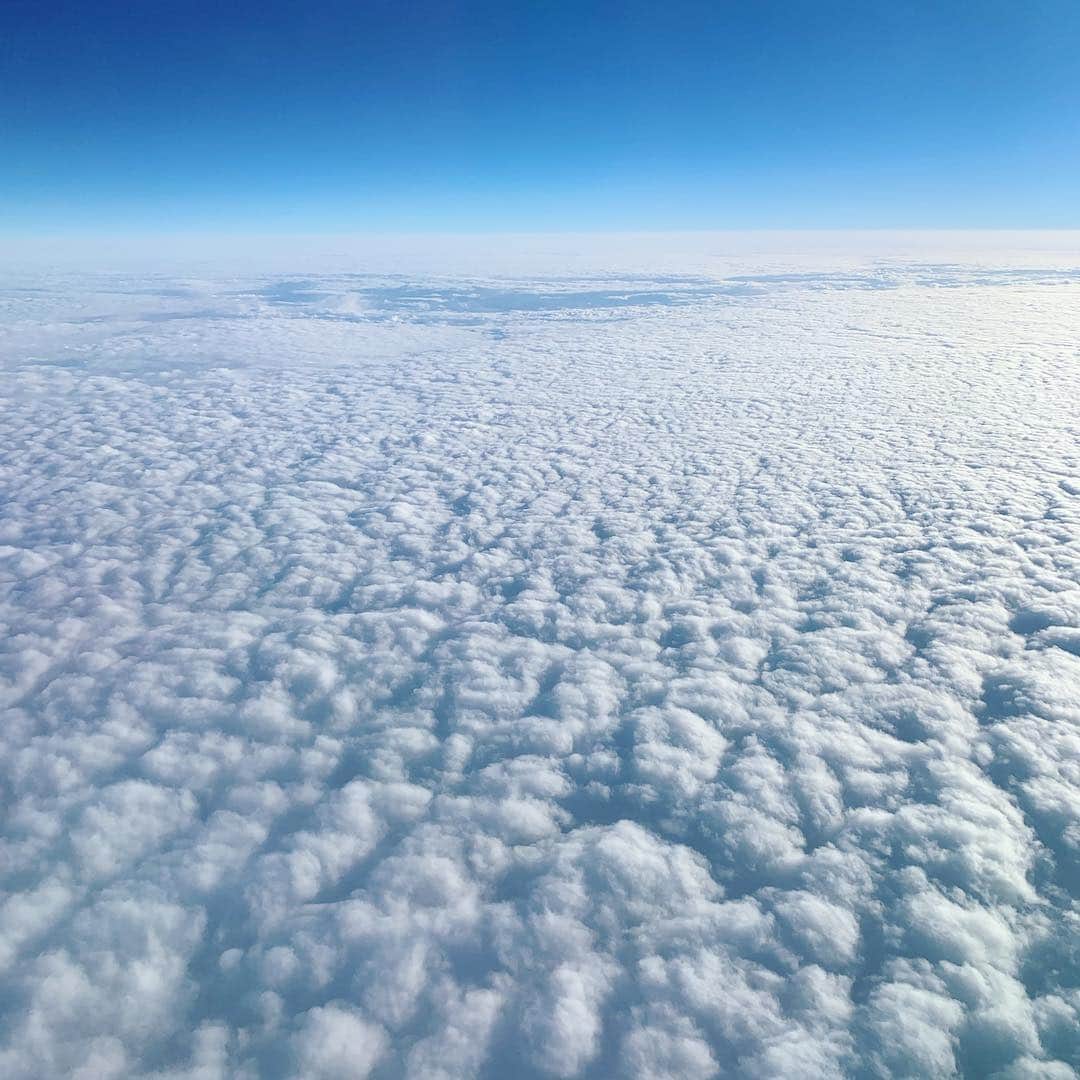 中江有里さんのインスタグラム写真 - (中江有里Instagram)「先週の和歌山が32回目、そして本日年内最後の出張で福岡にやってきました。1年間で計33回の出張でした。 美しい富士山、雲の絨毯を眺めながらの素晴らしい空の旅でした。」12月21日 17時44分 - yurinbow1226