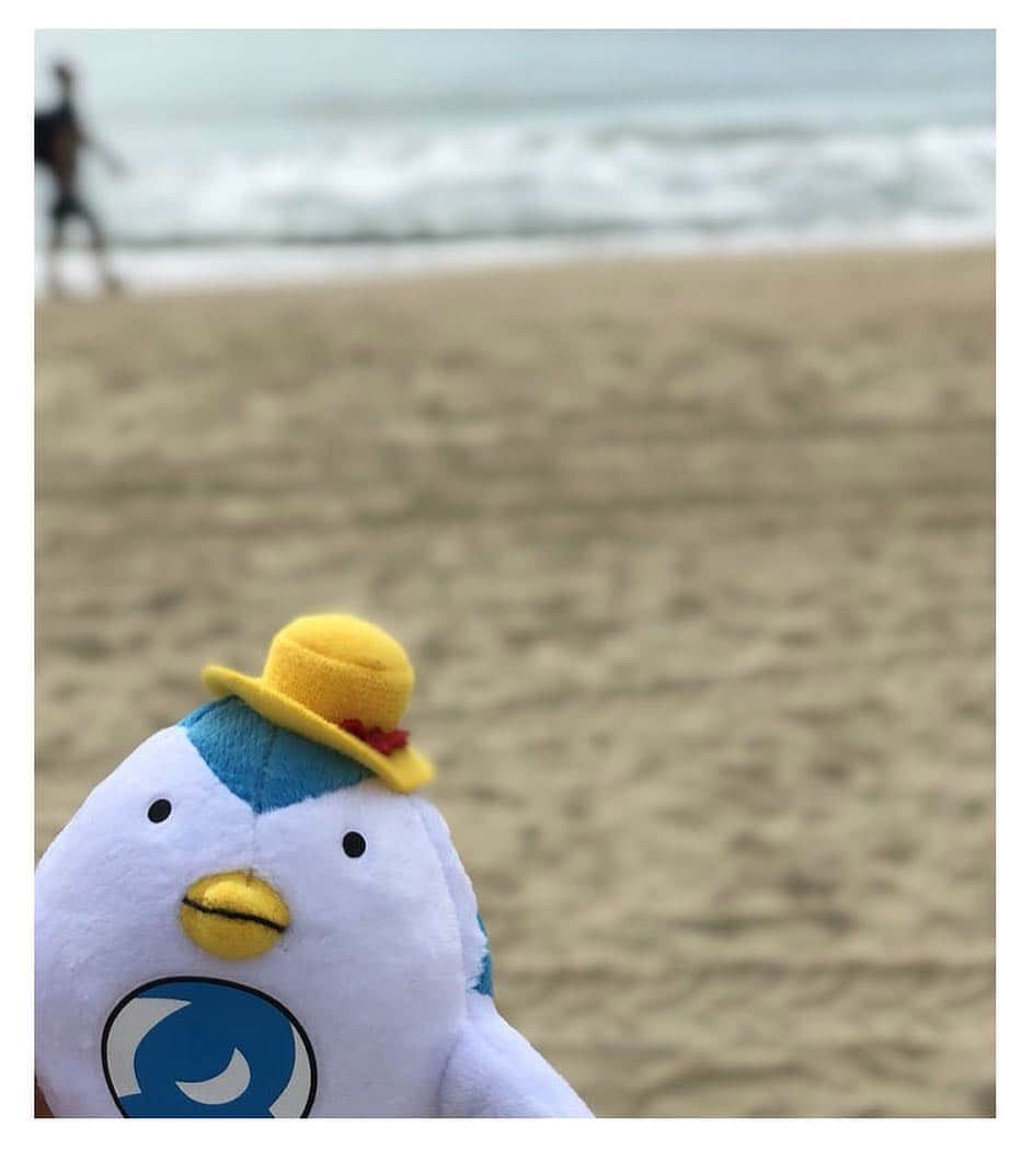 のインスタグラム：「釜山の海に行ったよ～～﻿ 冬の澄んだ空気が心地いいんだ～～﻿ ﻿ ◇◇◇◇◇◇◇◇◇◇ ﻿ ﻿ 現在エアトリのアカウントでは「#エアトリさんの旅行日記」をテーマに「思わず旅に出たくなるステキな写真」をご紹介しています。 【ステキなお写真募集中！】 #エアトリさんの旅行日記 での投稿お待ちしております厳選して紹介させていただきます。﻿ ﻿ #エアトリ #AirTrip #エアトリさん #韓国 #🇰🇷 #釜山 #Korea #Busan #海 #旅行 #旅#followme #travelphotography #travelgram #travelphotography #trip　#エアトリさんの旅行日記」